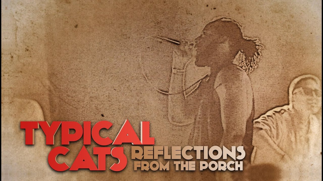 TYPICAL CATS - Reflections From The Porch | Official Music Video