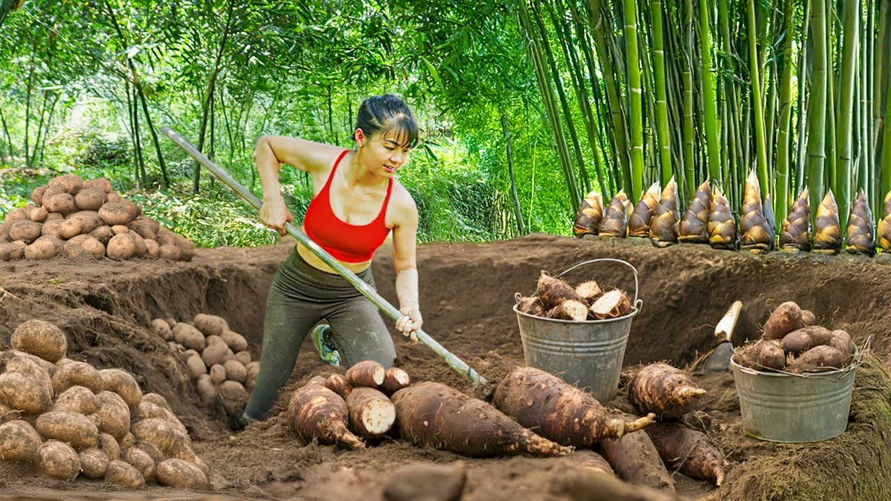 TIMELAPSE -- Harvest Digging 1000+ Unique Giant Wild Tubers, Go to Market Sell | Cooking Wild Tubers