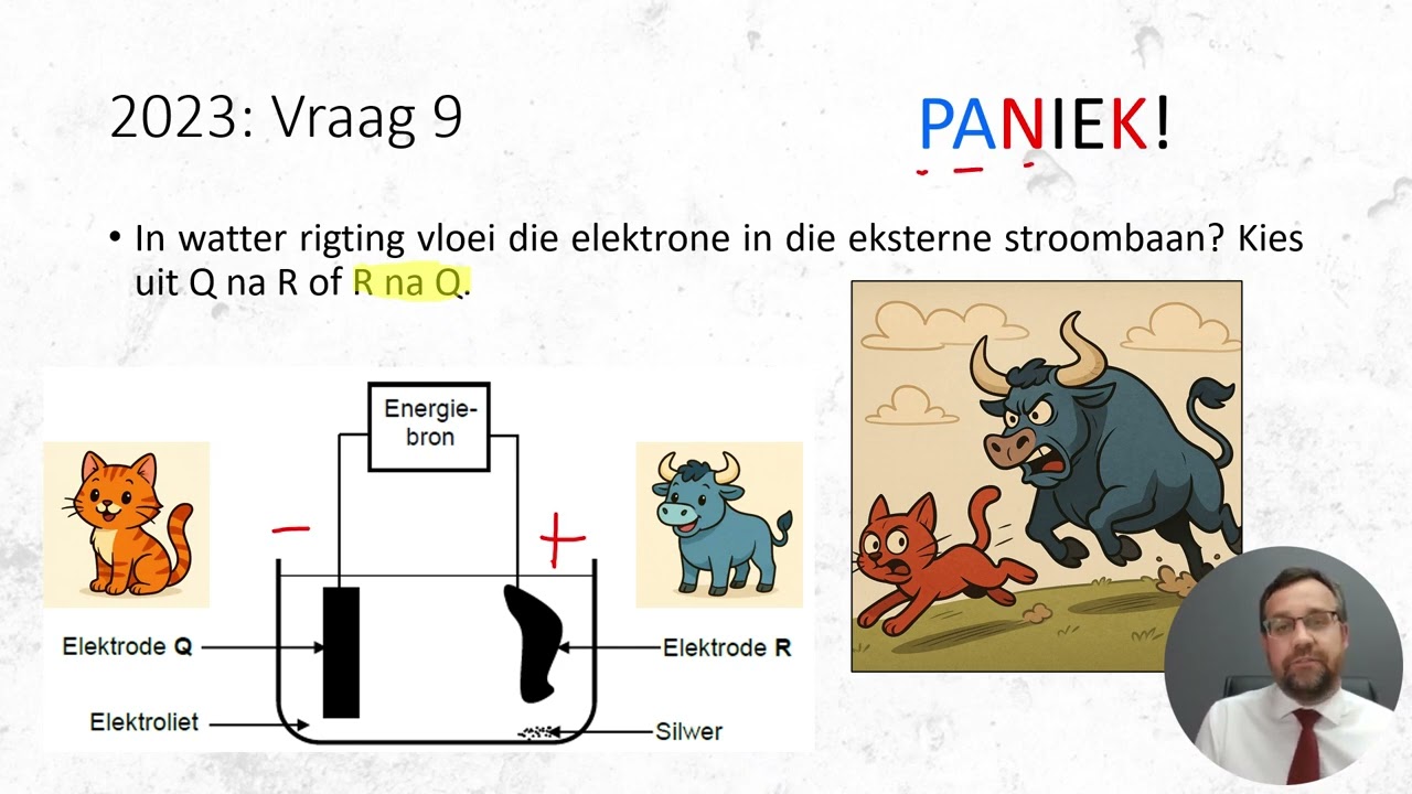 Graad 12 - Nasionaal - November 2023 - Elektrolitiese selle (Eindeksamen)