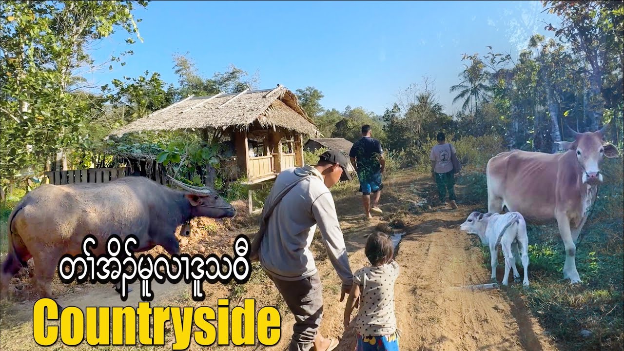 Life Far Away From the City | Village Lifestyle
