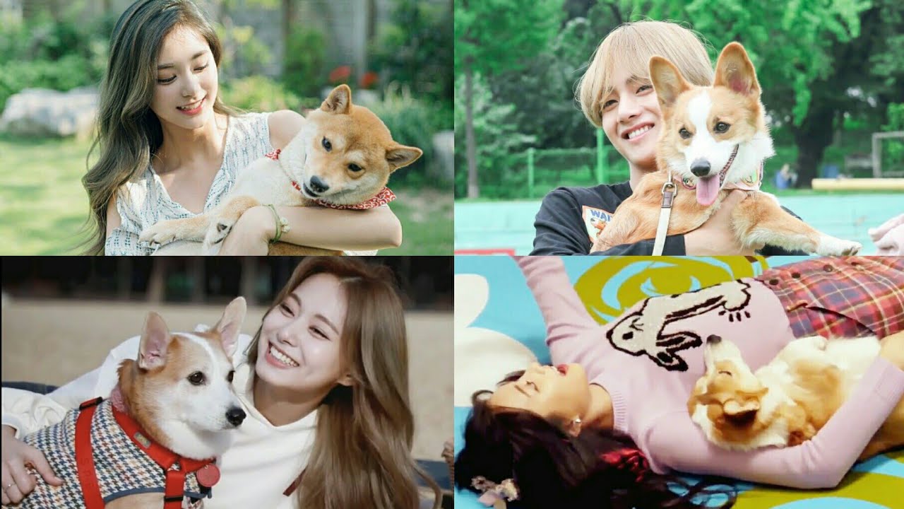 #taetzu
[FUNNY THINGS] PART 2
