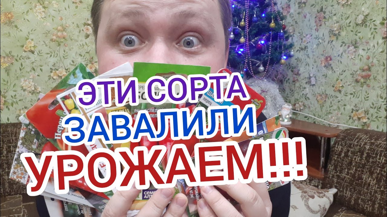 САМЫЕ УРОЖАЙНЫЕ СОРТА ПЕРЦА!!!🌱🌶