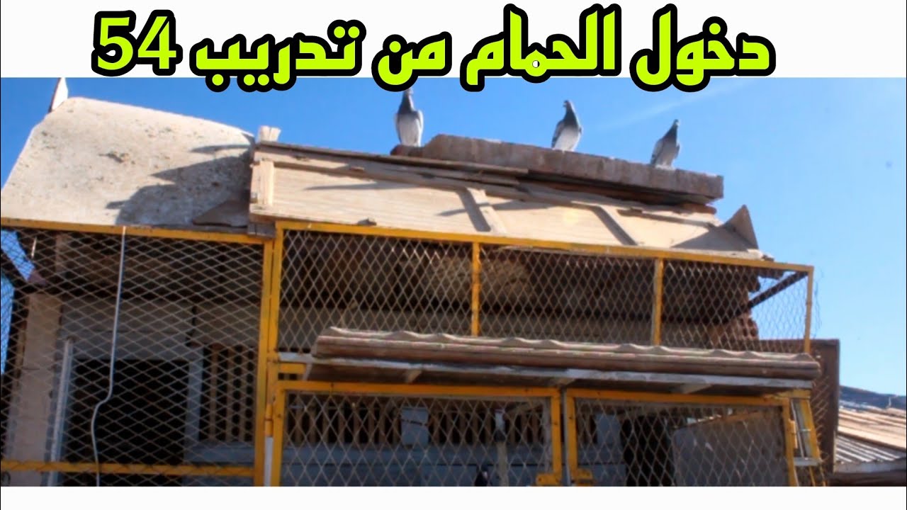 دخول الحمام من التدريب 54 دخول مخربق لحمام جاي من كل اتجاه 