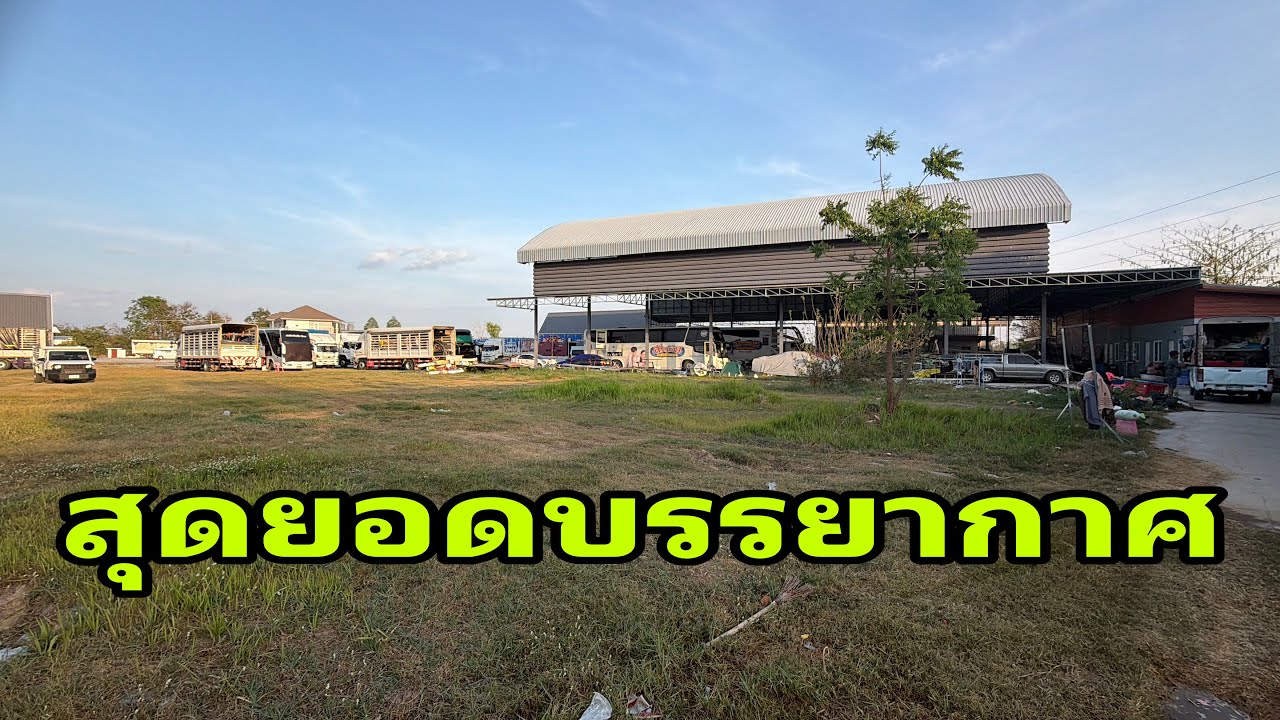 ยามแลงๆที่โดมครับ#อุ๋งอิ๋งเพชรบ้านแพง 
