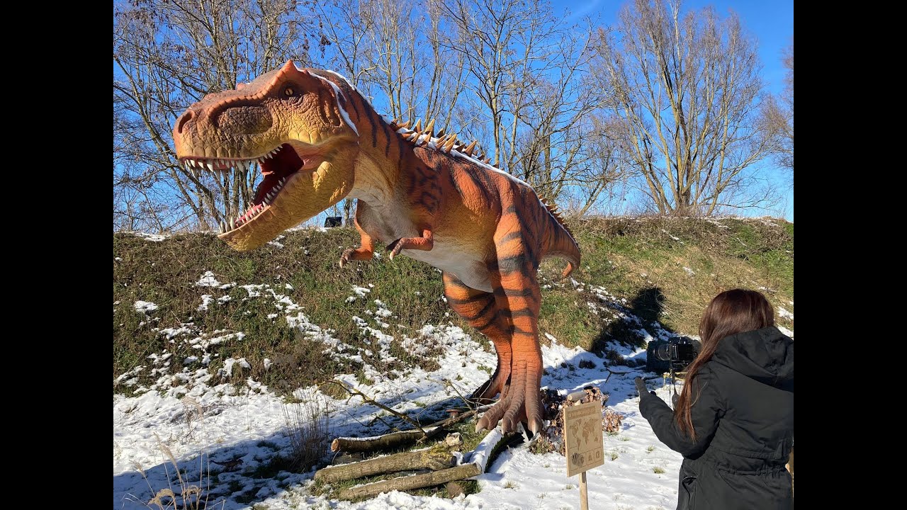 Dinopolis Part 2: Lets meet the Different Dinosaurs!