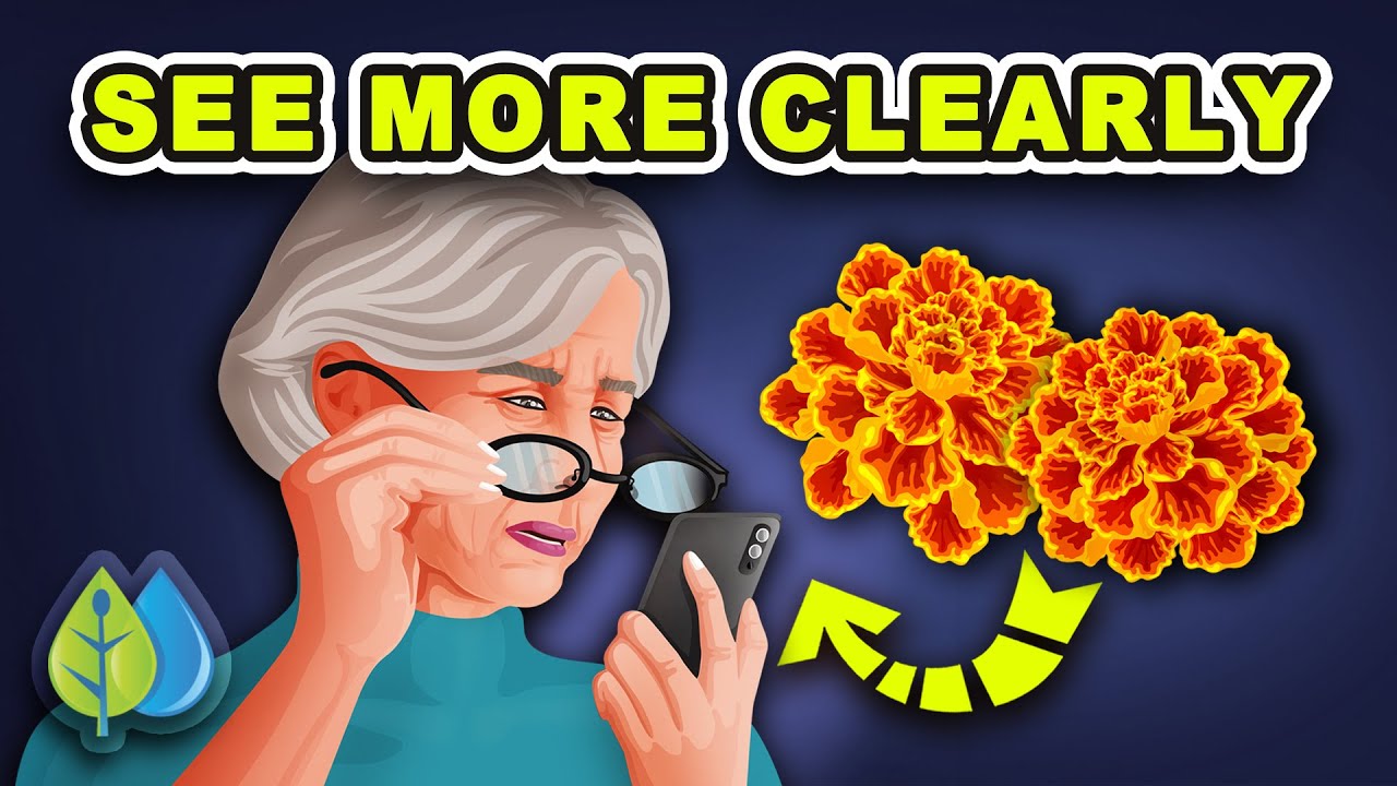 Top 10 vitamins for your eyes | IMPORTANT eye vitamins improve your eye health