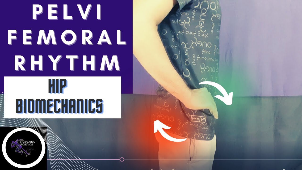 PELVIFEMORAL RHYTHM(OPEN /CLOSE CHAIN) (HIP JOINT COMPLEX BIOMECHANICS)Physiotherapy Tutorials
