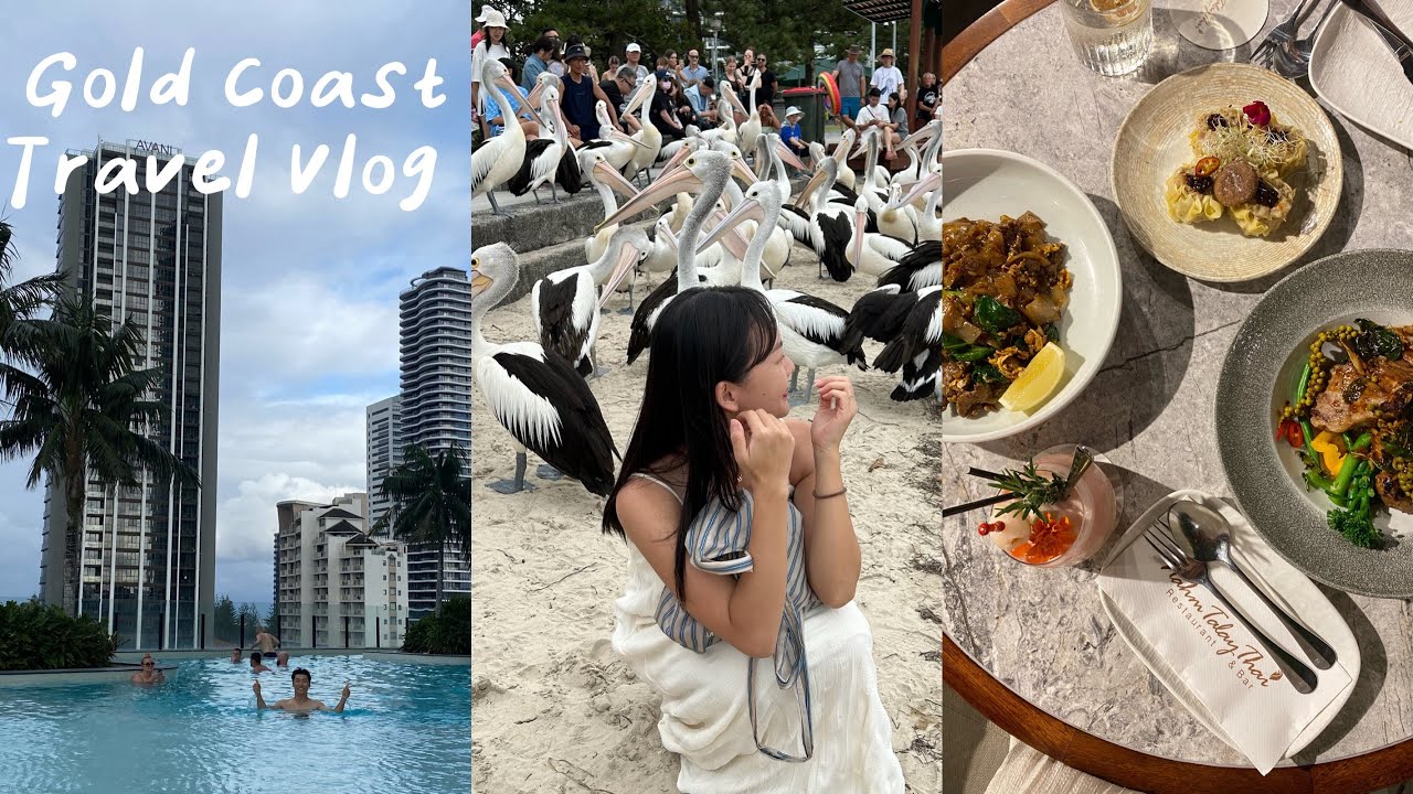Travel vlog🦘| Gold Coast黃金海岸ep1🇦🇺Dorsett 超值全景房+超大泳池、Charis Seafoods炸魚薯條