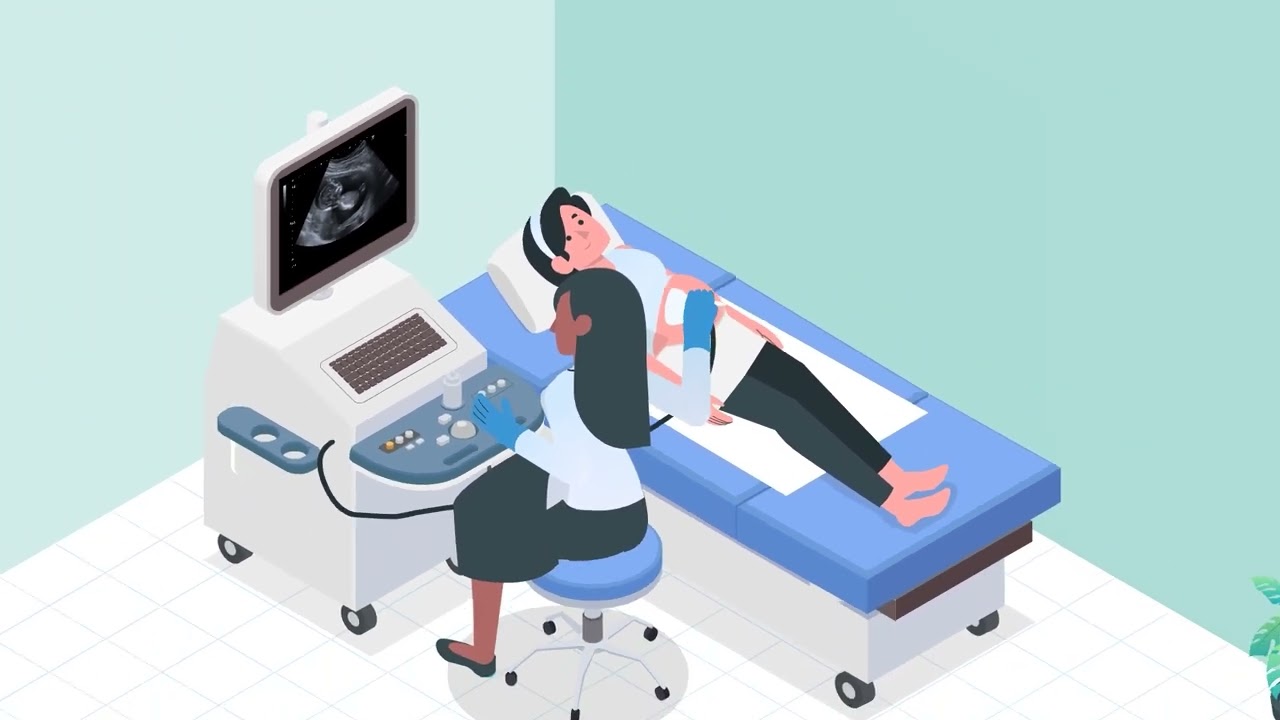 Anatomy Ultrasound