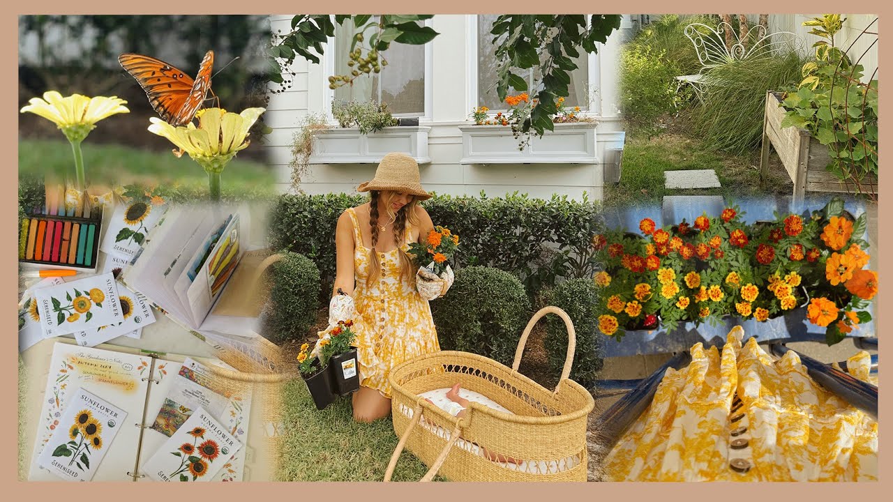 Prepping the garden for autumn...🌻
