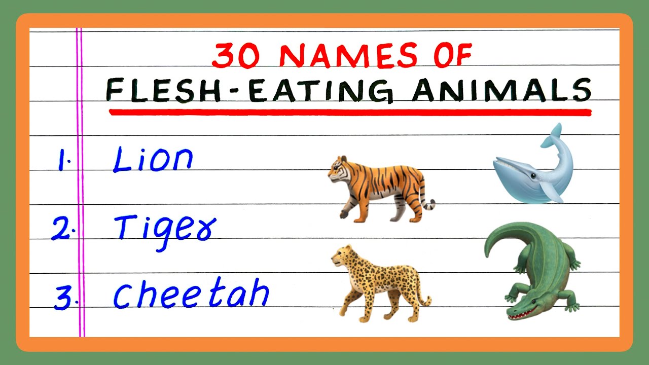 FLESH EATING ANIMALS | 5 | 10 | 20 | 30 FLESH EATING ANIMALS | IN ENGLISH | CARNIVORE ANIMALS