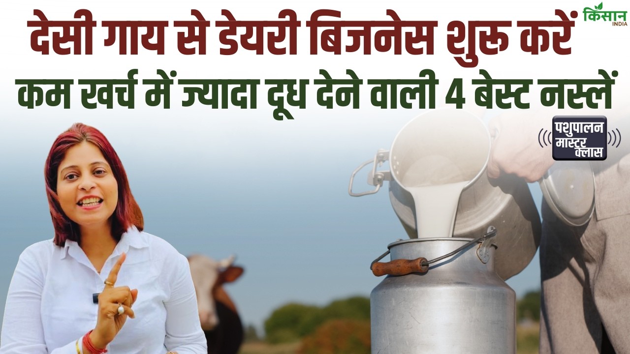डेयरी में नुकसान से बचना है? जानिए गिर, साहीवाल, लाल सिंधी की पूरी जानकारी| Dairy Farming।Pashupalan