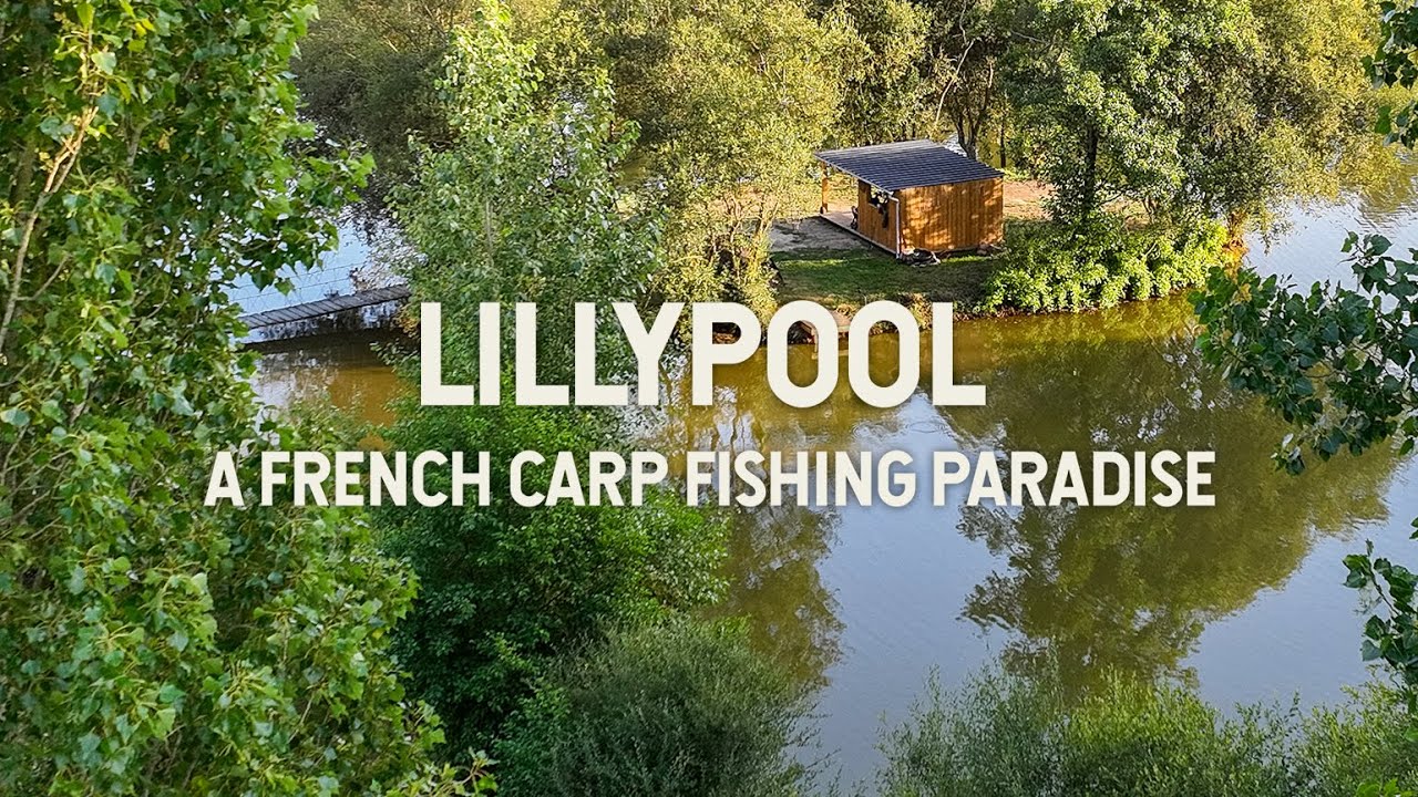 Lillypool French Carp Fishing - An Island Social