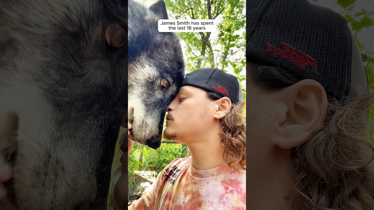 Man and his wolf best friends