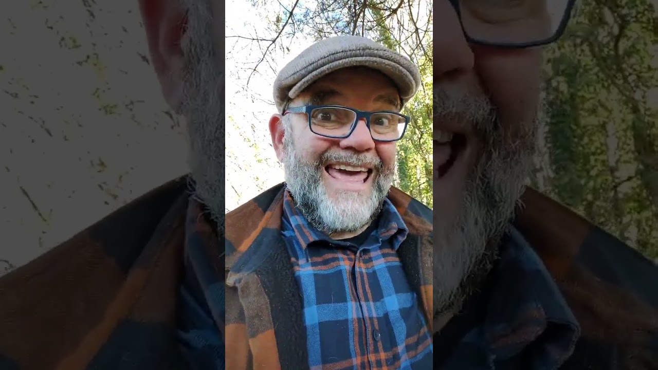 Processionary Moth Traps are used to protect dogs from the TOXIC MOTH