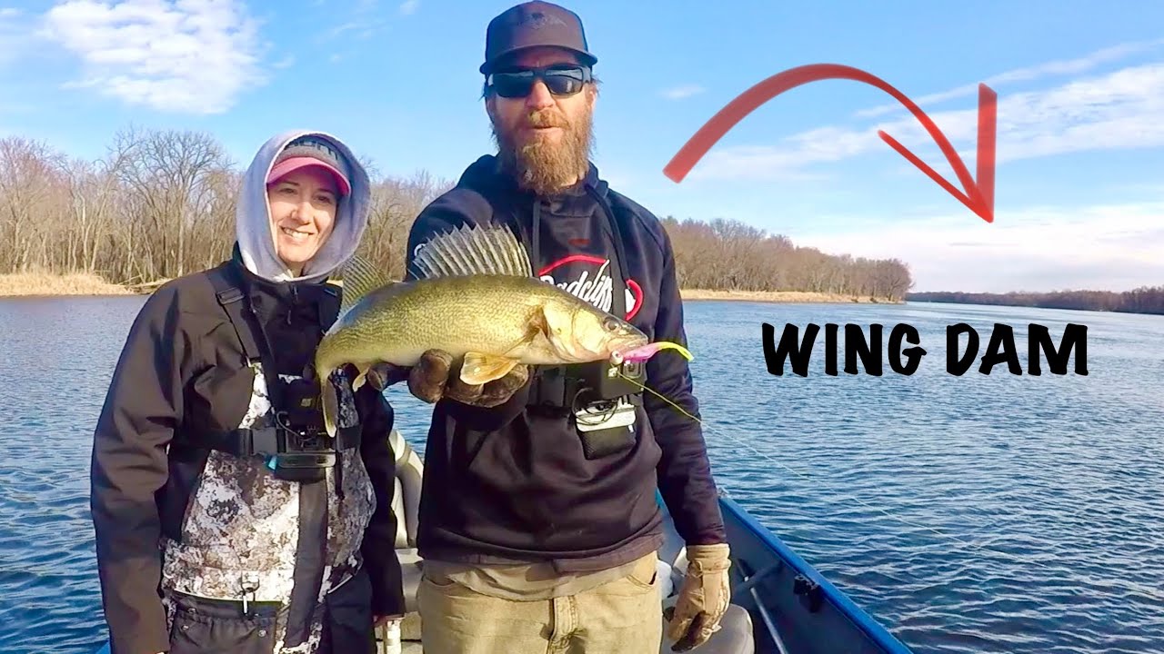 Mississippi River WING DAM Multi-Species GIANTS! | Pitching Jigs for Wing Dam Walleyes