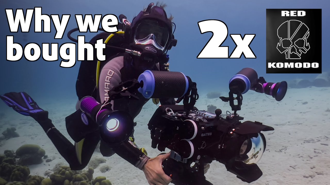 Why we bought TWO RED KOMODOs 🤩 🎥 🌊 for filming underwater