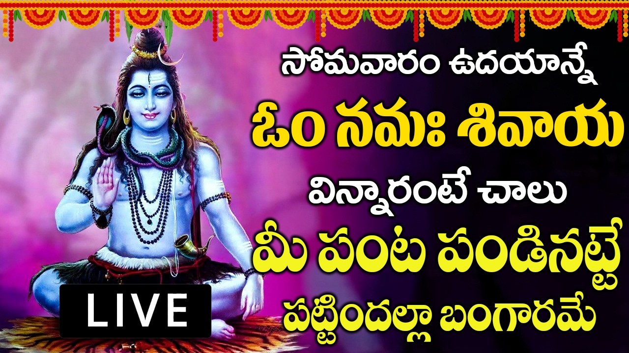 సోమవారం ఉదయాన్నే ఓం నమఃశివాయ వింటే మీ పంట పండినట్టే పట్టిందల్లా బంగారమే | om namah shivaya
