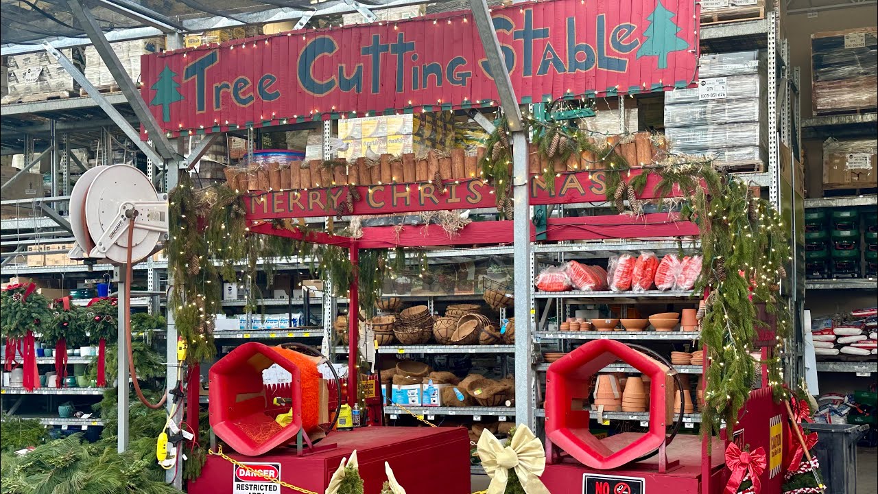 HOME DEPOT INVENTORY DECEMBER🌲HOLIDAY PLANTERS, PERENIALS & SHRUBS🌳 BIG BOX STORE PLANT SHOPPING🛒