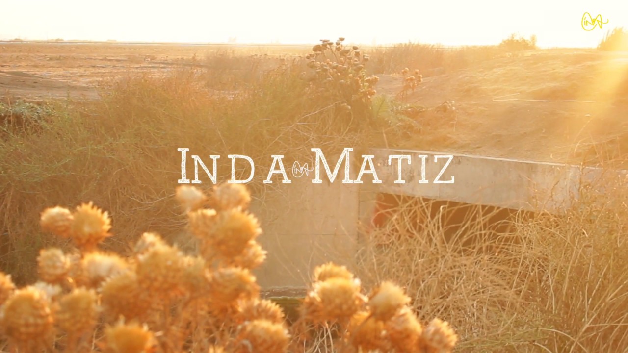 Una Cualquiera - Inda Matiz (video lyric).