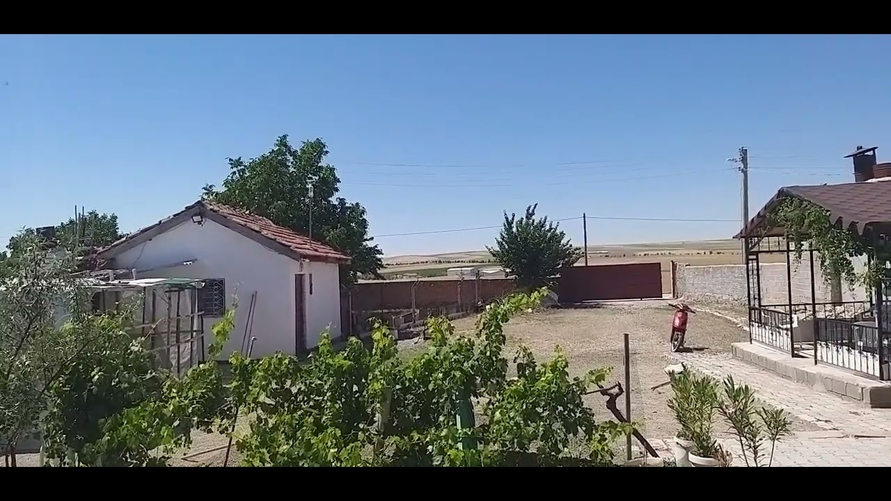 YAVRU KENDINI YAPMADAN TEKE ALMA