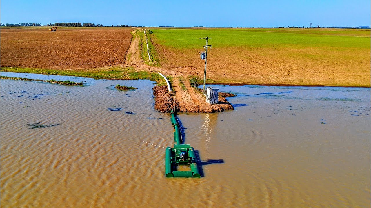 IMPRESSIO ANTE temporal no RS chuva forte e granizo destruiu a lavoura de arroz 😳
