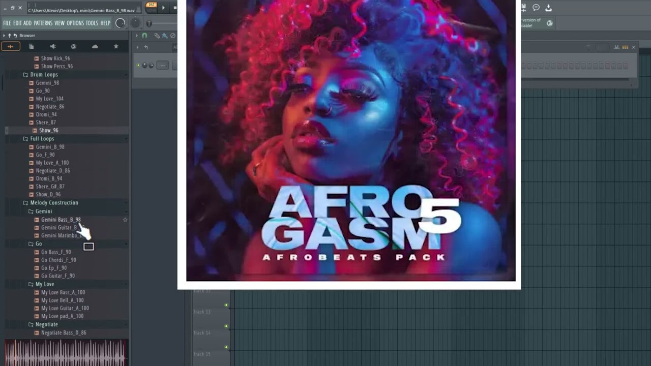 Libreria Afro gans Afrobeat 2025