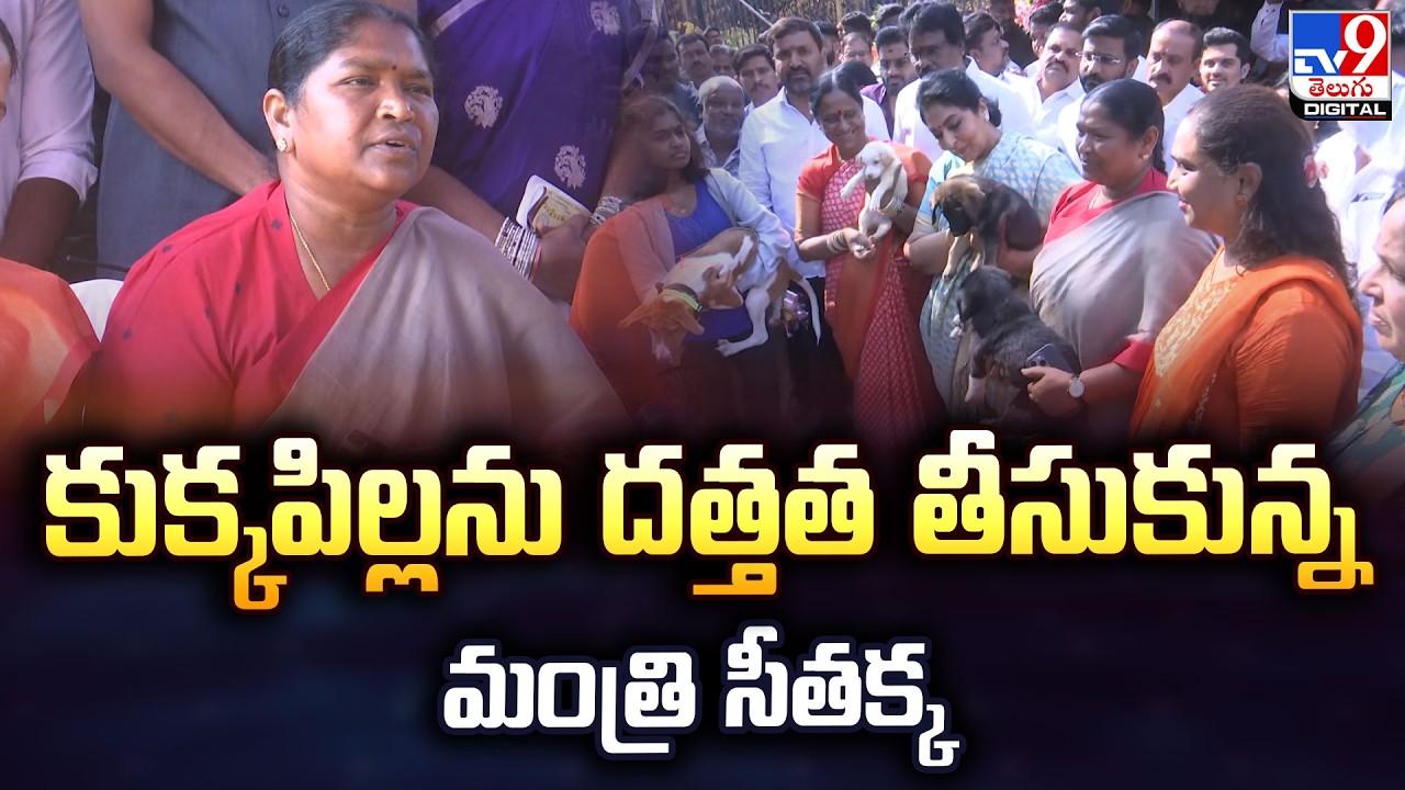 కుక్కపిల్లను దత్తత తీసుకున్న మంత్రి సీతక్క | Minister Seethakka - TV9