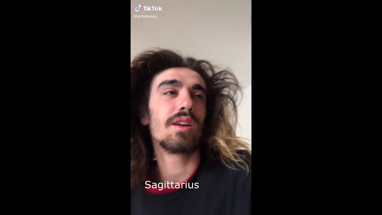 tik taks as zodiac signs 2 electric boogaloo