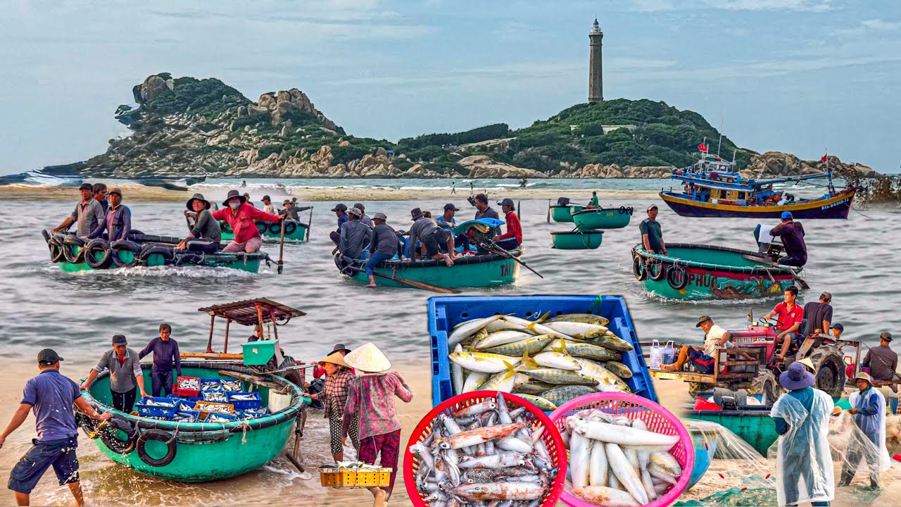 Làng Chài Nằm Cạnh Hải Đăng Cổ Nhất Việt Nam | Mũi Kê Gà Tuyệt Đẹp Ngày Nước Rút Sâu