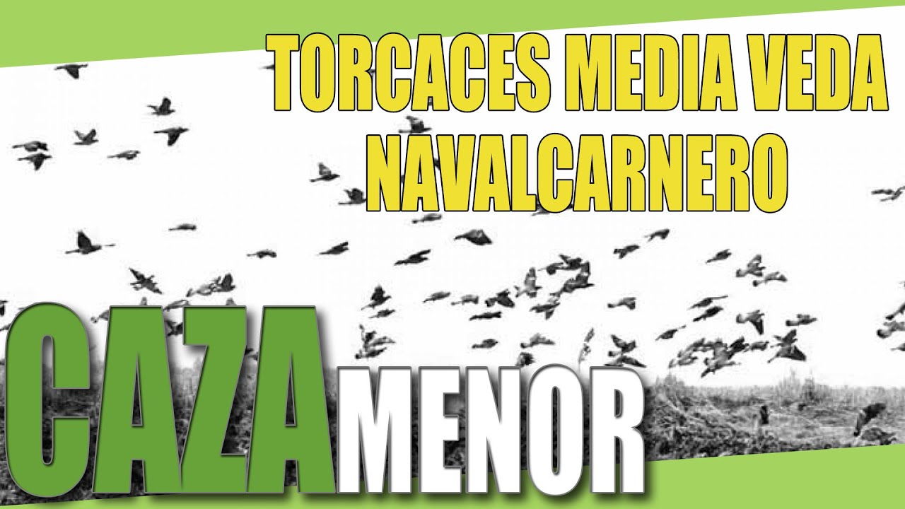 TORCACES MEDIA VEDA NAVALCARNERO