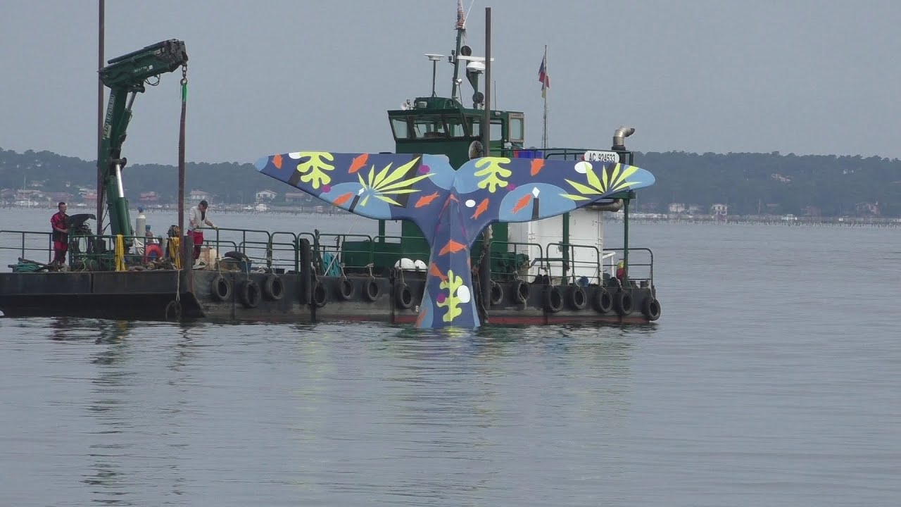 Arcachon Video Queue de la baleine 2020