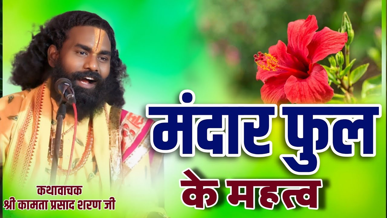 मंदार फुल के महत्व // कथा वाचक श्री कामता प्रसाद शरण जी//Kamta Prasad sharan ji Ramayan