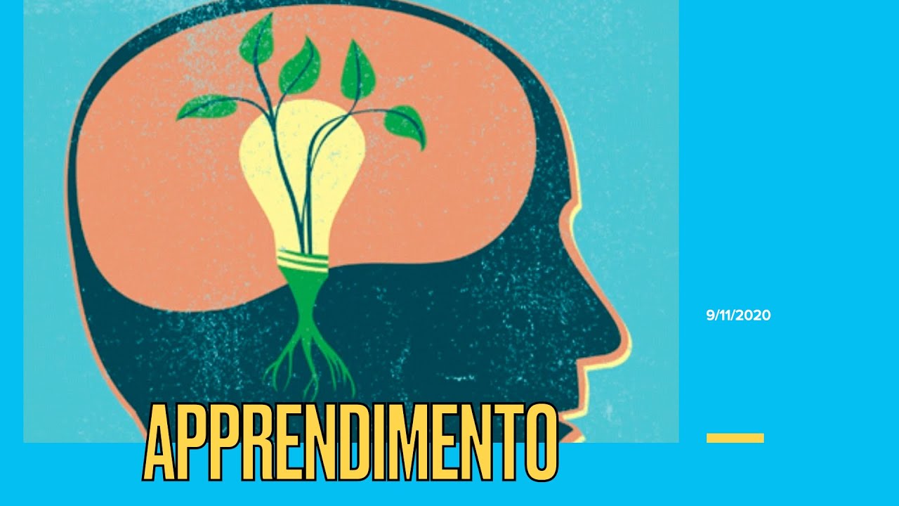 Psicologia Generale LM -LICUS- Lezione IX (9 novembre 2020) - Comportamento e apprendimento