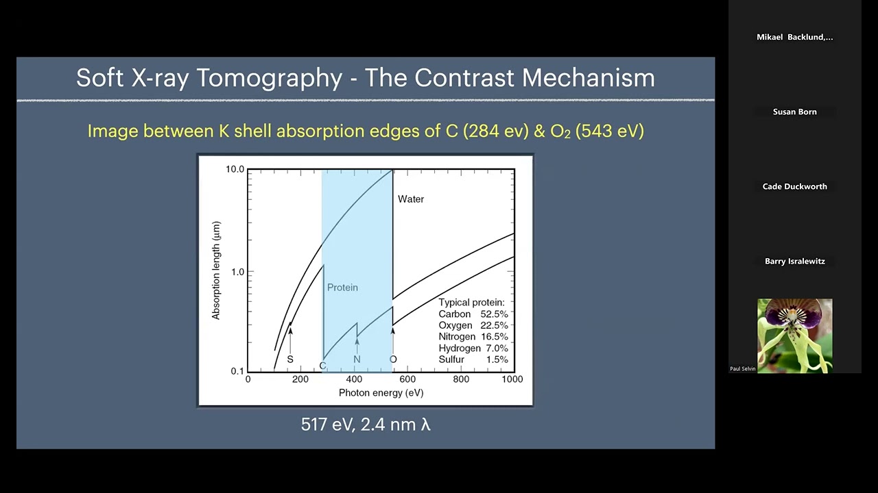 Quantitative 3D Imaging of Whole Cells Using Soft X-ray Tomography -CarolynLarabell