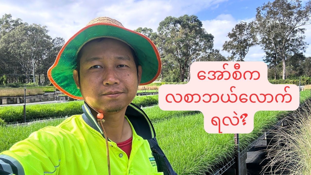 အော်စီကရတဲ့လစာရယ် ဝင်ငွေထွက်အကြောင်းလေးပြောပြပေးထားပါတယ် #aussielife #sydney #australia