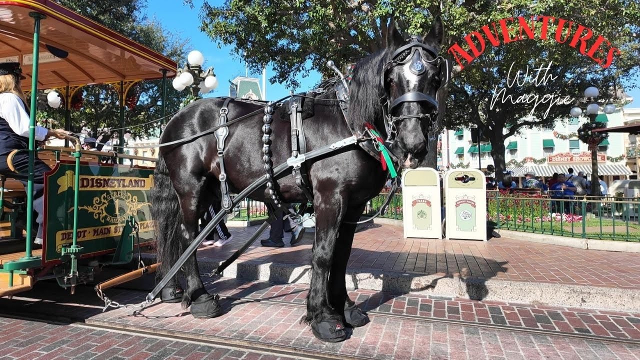 Disneyland Horse-Drawn Street Car Trolley - 
