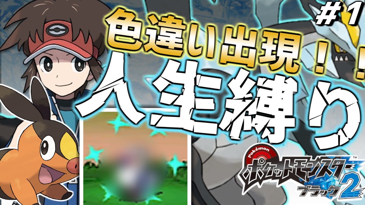 【色違い有 / ポケモンBW2 人生縛り #1】ポケットモンスター ブラック2 を超鬼畜縛りの「人生縛り」でプレイ【バッジ0個～】