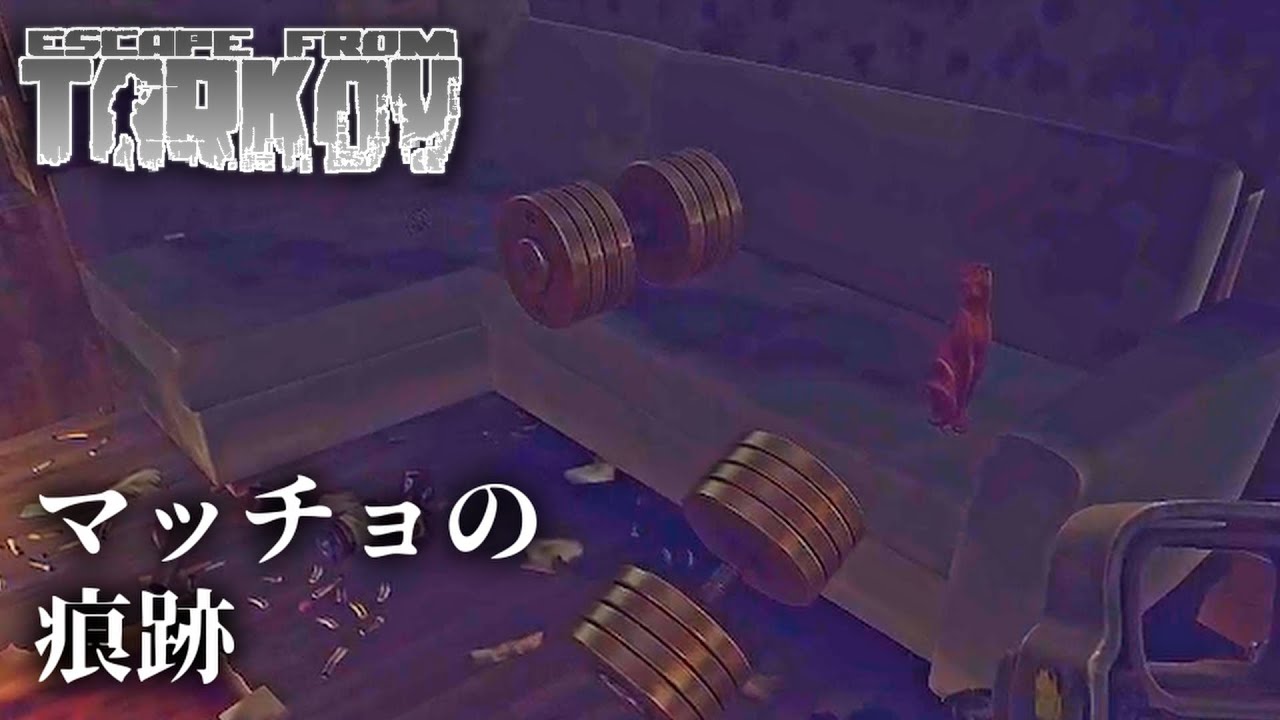 【EFT】戦闘はキモイ方が勝つ　#376【アセスメント】