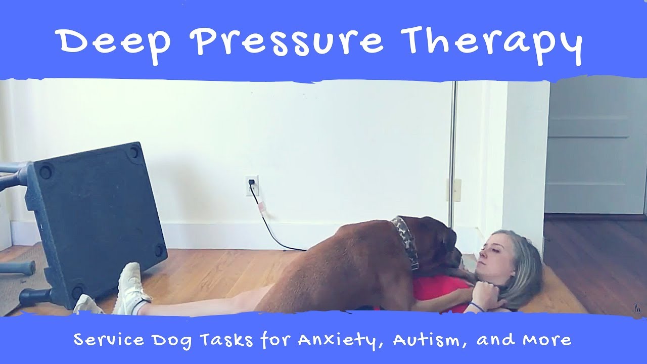 Deep Pressure Therapy Training - Service Dog Task