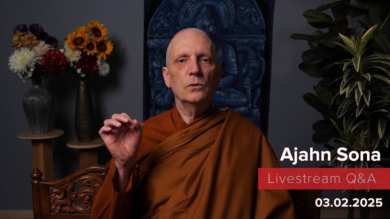 Live from Birken: Dhamma Q&A with Ajahn Sona (03.02.2025)