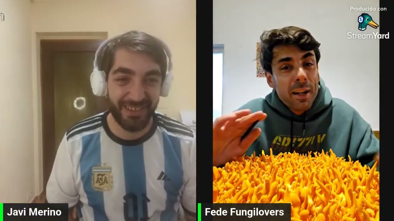 CENSURA FUNGI EN REDES SOCIALES