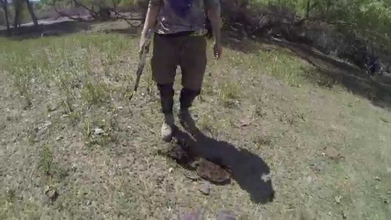 Bacci Paintball on staying out of the poopy pile