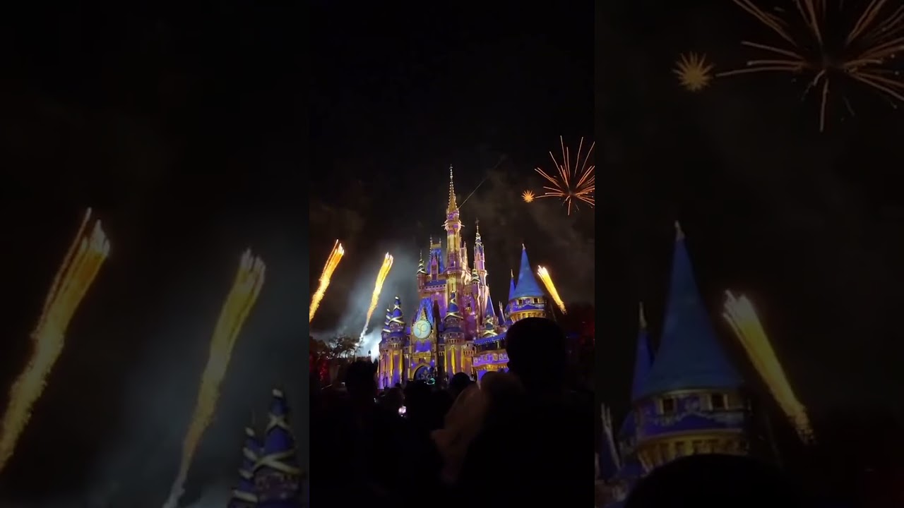 Magical vacation memories at kingdom world #magickingdom #florida #memories