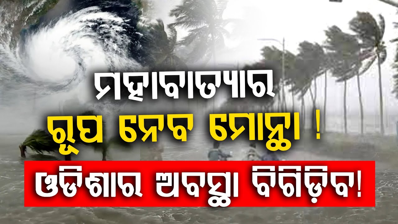 ବଳ ଗୋଟାଉଛି ମୋନ୍ଥା  ll FOCUS PLUS ||