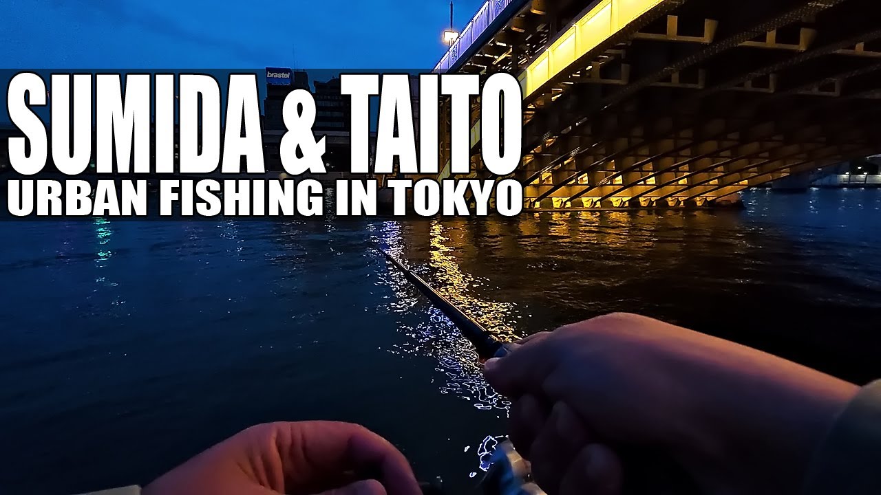 Urban Fishing in Tokyo: Sumida River, Sumida and Taito Cities