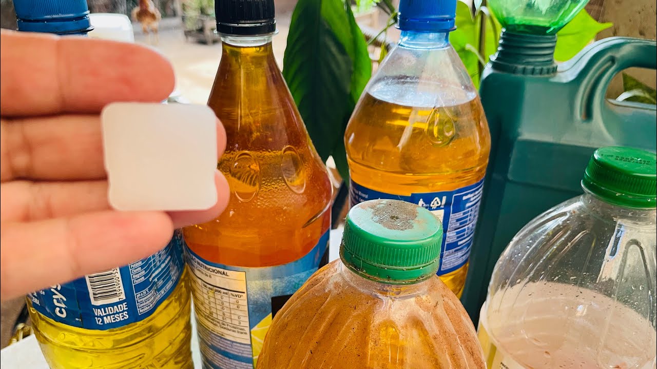 COMO FAÇO PRA DEIXAR O ÓLEO USADO CHEIROSO COM ESSA PEDRINHA!