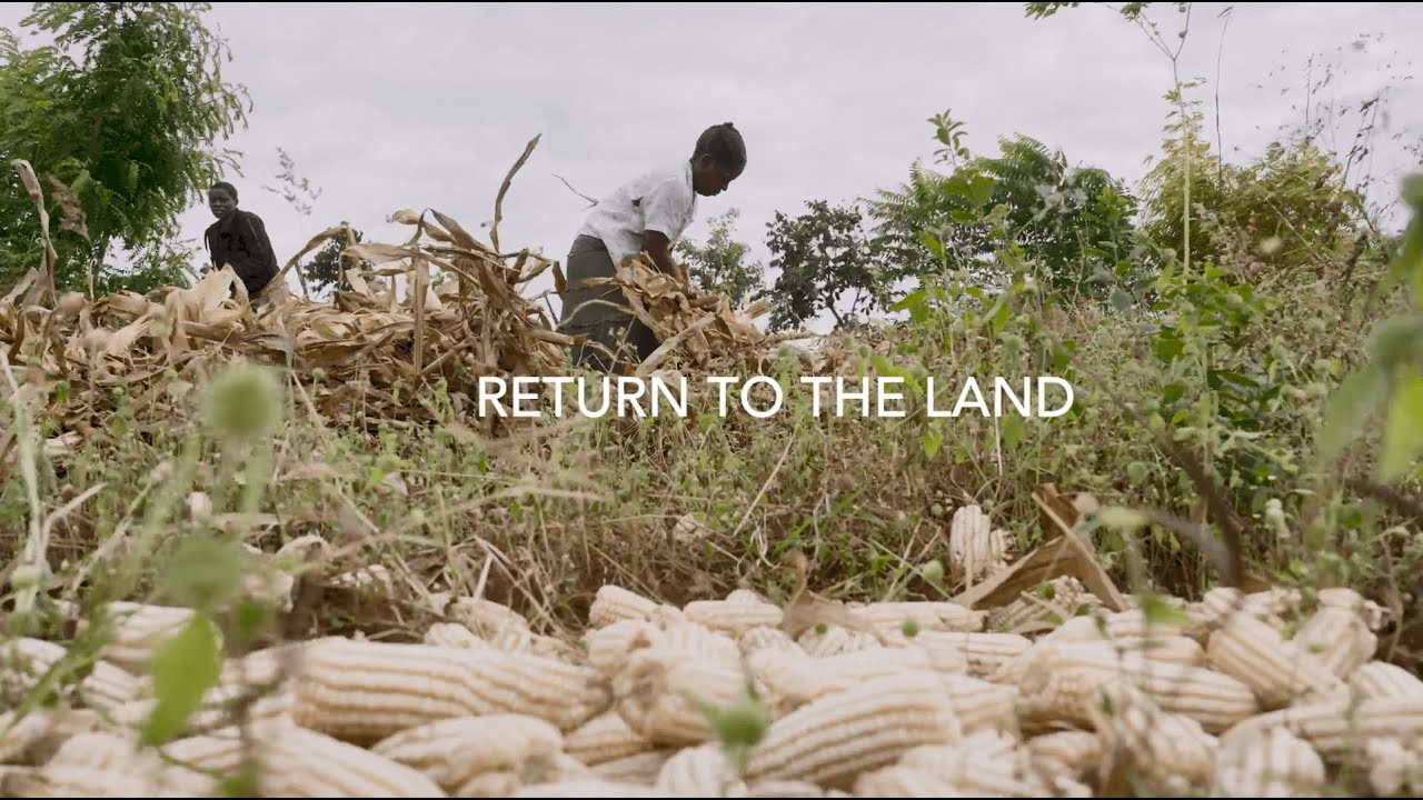 Return to the Land