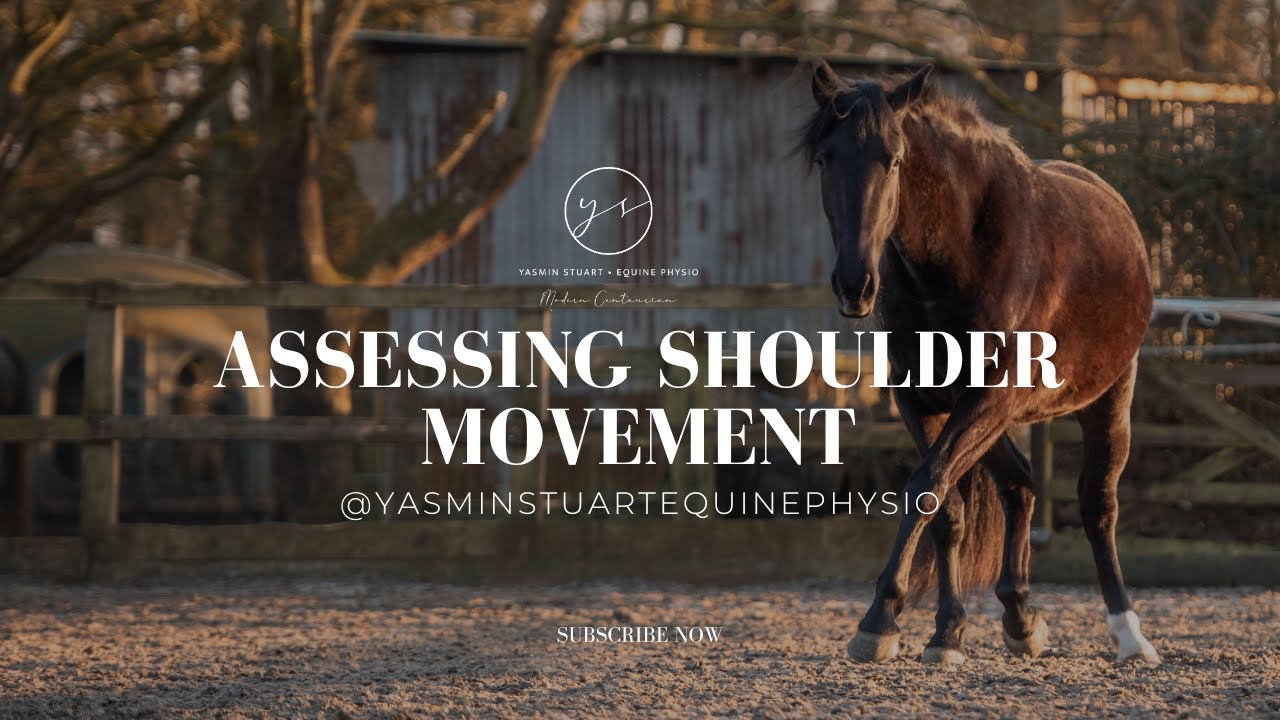 Assessing Shoulder Movement