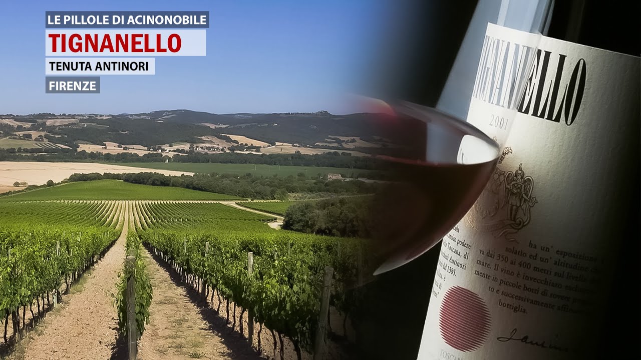 Tignanello | Marchesi Antinori